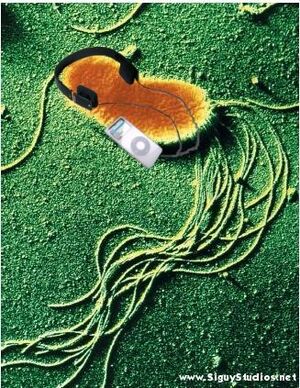 BacteriumiPod.jpg